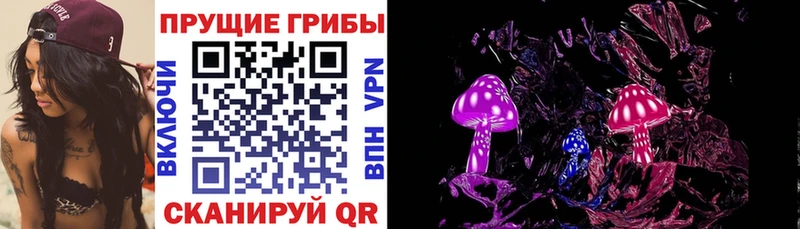 Купить  Тарко-Сале  Галлюциногенные грибы Psilocybine cubensis 